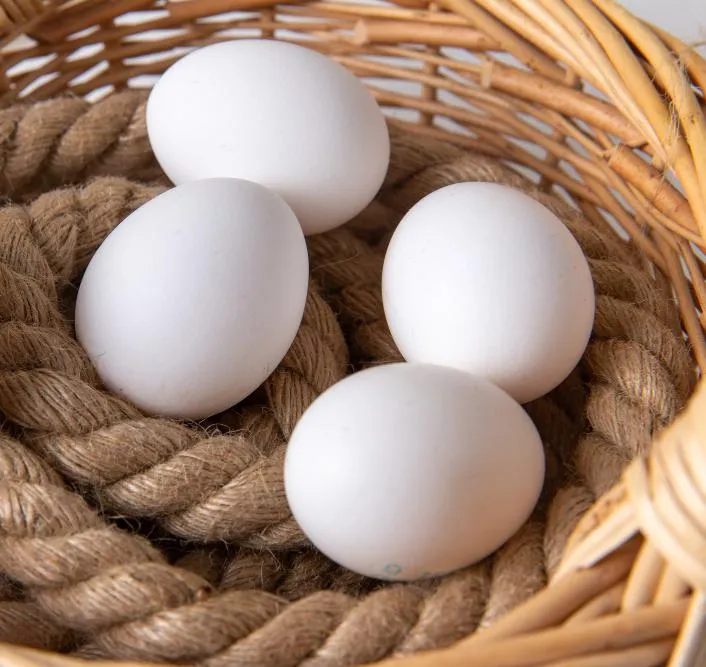 ООО «Советская агрофирма»