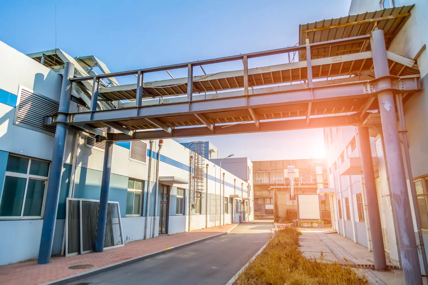 Птицефабрика «Комсомольская» приступила к следующему этапу модернизации мощностей 